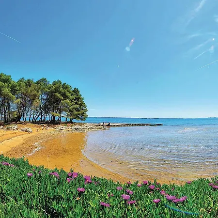 In With Heated Swimming Pool فير