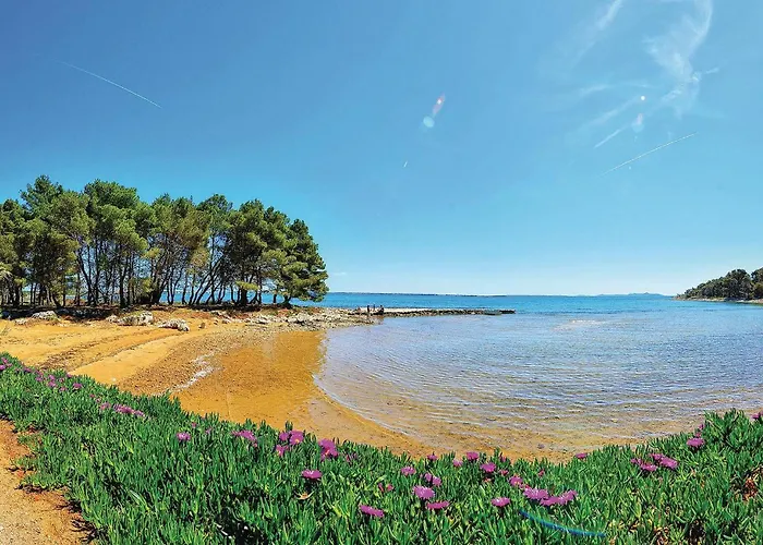 In With Heated Swimming Pool فير